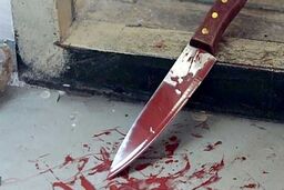 درگیری مسلحانه اشرار در خیابان سعدی قزوین|۲ نفر به قتل رسیدند