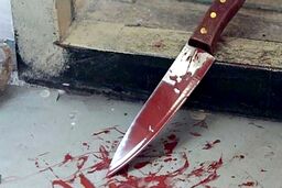 قتل فجیع دختر 9 ساله اردبیلی به دست مرد جنایتکار | دعوای طایفه ای محله «گلمغان» را غرق خون کرد