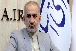    برخی نمایندگان، مناطق آزاد را با حوزه انتخابیه خود مقایسه می‌کنند