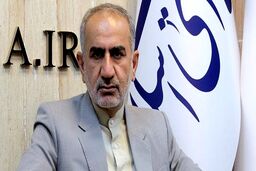    برخی نمایندگان، مناطق آزاد را با حوزه انتخابیه خود مقایسه می‌کنند