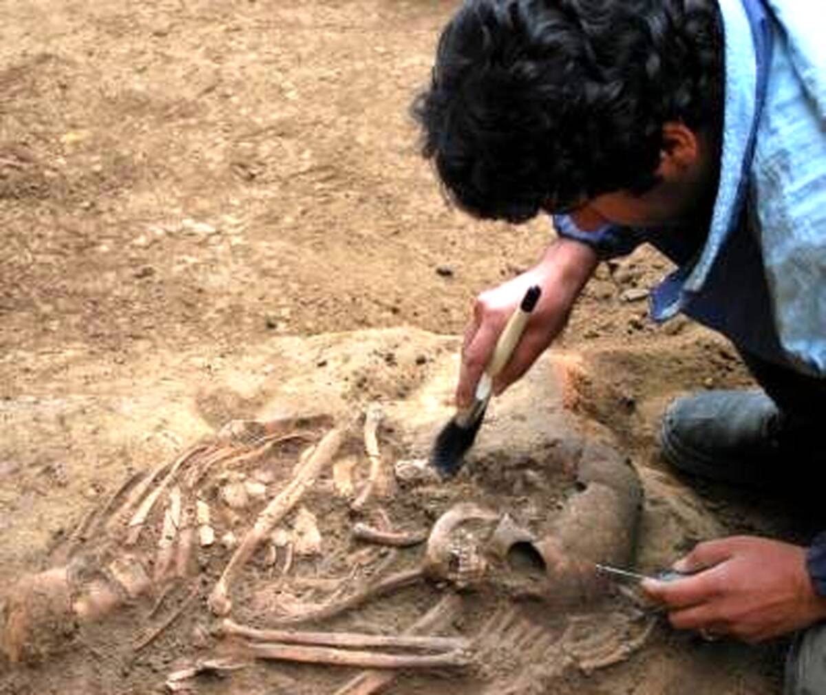 کشف بزرگ در مازندران ایران |دانه های 3000 ساله برنج