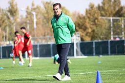 خط و نشان استیلی برای قلعه‌نویی

