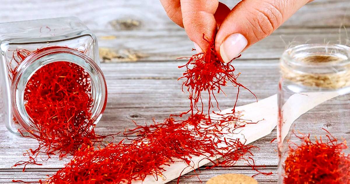 هر مثقال زعفران چقدر است؟ خواص درمانی زعفران