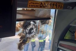 آخرین خبر از عوامل حمله نارنجکی به اتوبوس پرسپولیس + جزئیات
