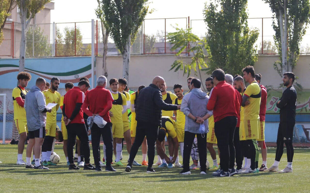 سجاد سیاح، مدیرعامل جدید باشگاه تراکتور شد

