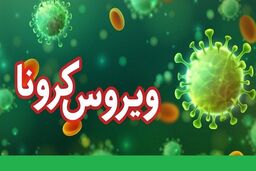 بازیکن سابق استقلال و پرسپولیس هم کرونا گرفت! + عکس

