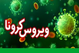 بازیکن سابق استقلال و پرسپولیس هم کرونا گرفت! + عکس

