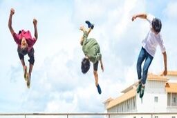 آموزش مبتدی تا حرفه ای پارکور

