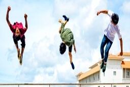 آموزش مبتدی تا حرفه ای پارکور

