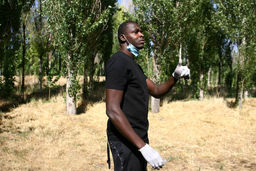 دیاباته: ایرانی هستم و عاشق قورمه سبزی!

