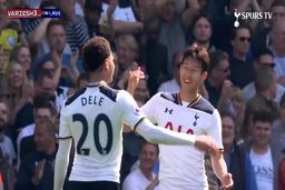 ببینید 10 گل برتر دله آلی برای تاتنهام