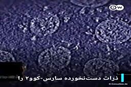 فیلم؛ پدر واقعی ویروس کرونا دیده شد