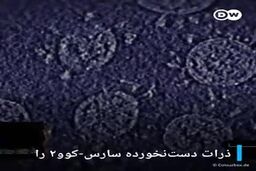 فیلم؛ پدر واقعی ویروس کرونا دیده شد