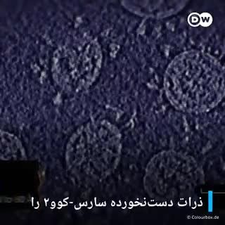 فیلم؛ پدر واقعی ویروس کرونا دیده شد