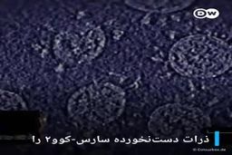 فیلم؛ پدر واقعی ویروس کرونا دیده شد