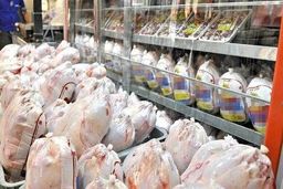 مرغ ارزان می شود؟+فیلم 