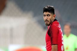 تردید گل‌محمدی در استفاده از ترابی