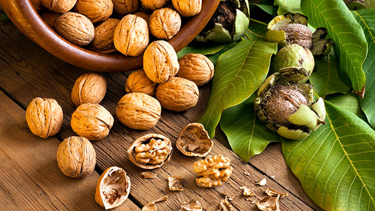  فواید شگفت انگیز گردو 