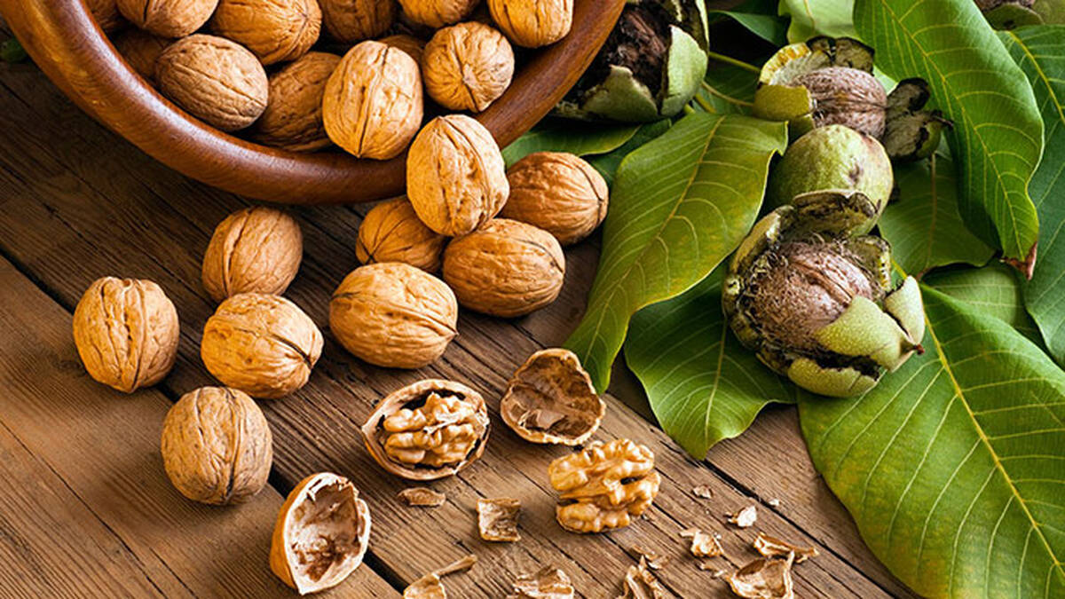  فواید شگفت انگیز گردو 