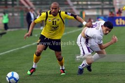 زردهای نصف جهان به گربه سیاه آسیایی رسیدند

