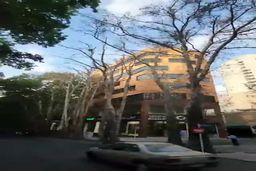 فیلم|خشک کردن عمدی چنارهای جهانی خیابان ولیعصر تهران