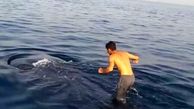 لحظه باورنکردنی از نهنگ سواری در خلیج فارس|ویدئو