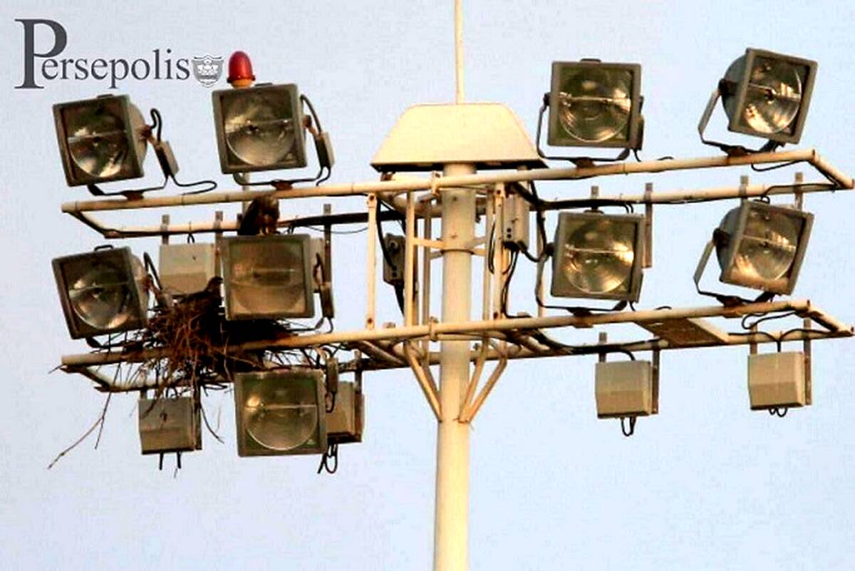 ماجرای عجیب و غریب پروژکتورهای زمین تمرین پرسپولیس