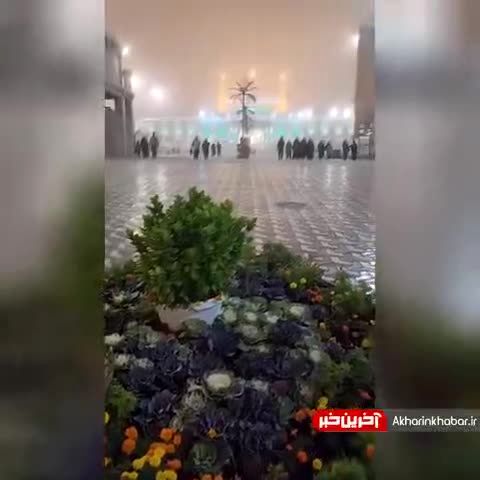 فیلم|کربلای معلی و حرم حسینی غرق در مه 