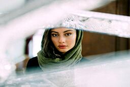 ظاهر جدید ترلان پروانه 
