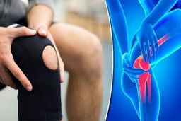 آرتروز زانو و اهمیت درمان آن