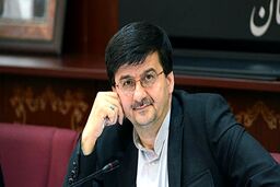 معاون وزیر: هواداران نباید در مدیرعاملی دخالت کنند