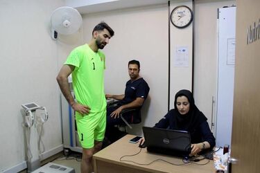ایفمارک