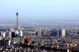 ورود ناگهانی 3 راس الاغ به منطقه مشهور تهران|عکس