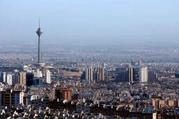 ورود ناگهانی 3 راس الاغ به منطقه مشهور تهران|عکس