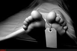 ماجرای کشته شدن قمه کش مهرشهر؛فیلم عربده کشی وسط شهر