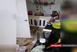 لحظه تلخ مرگ آشپز زن جوان درهنگام آموزش در برنامه زنده