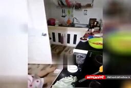لحظه تلخ مرگ آشپز زن جوان درهنگام آموزش در برنامه زنده