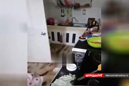 لحظه تلخ مرگ آشپز زن جوان درهنگام آموزش در برنامه زنده