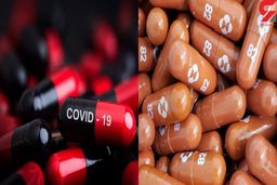 قرص ضد کرونای فایزر در راه ایران؛درمان و نابودی کرونا تا 90 درصد