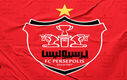هافبک مشهور اسبق باشگاه پرسپولیس برای بار دوم ازدواج کرد + عکس