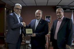 اعتراض شدید وزیر ورزش به تصمیم AFC/ قول شیخ‌سلمان به سلطانی‌فر

