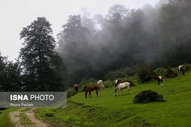 ییلاقات «اولسبلنگاه»