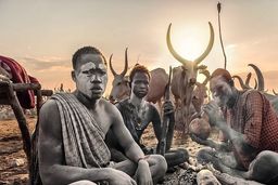 مراسم عجیب روز نبرد با مدفوع گاوها! + فیلم داغ 