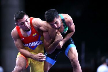 محمد رضا گرایی