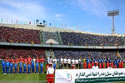چرا سرخابی‌ها امسال هم واگذار نمی‌شوند؟!

