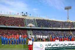 چرا سرخابی‌ها امسال هم واگذار نمی‌شوند؟!

