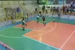 شاهکار عجیب گزارشگر شمالی:تبدیل اکبرجوجه به املت