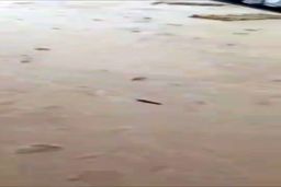 (ویدئو) دفن شدن خودروهای صفر کیلومتر در کرمان ؛ بیچاره خریداران بعدی این ها