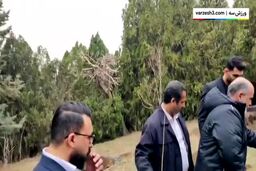 (ویدئو) کاشت درخت توسط بیرانوند و کادر تیم ملی فوتبال