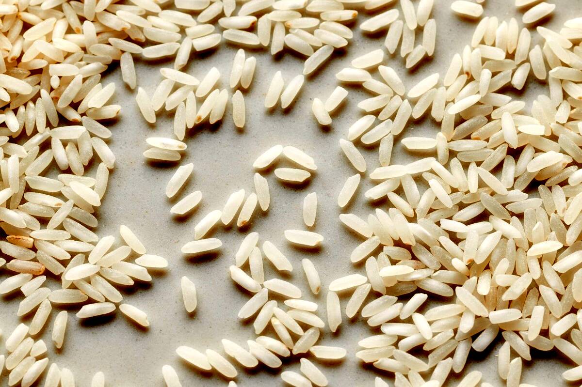راهنمای انتخاب برنج پاکستانی ارزان و باکیفیت